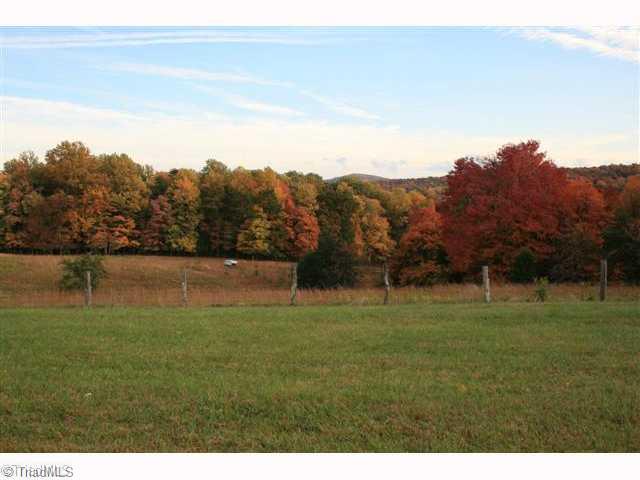 4520 Bull Mountain Road Stuart, VA 24171 - Photo 8 of 14 Land.