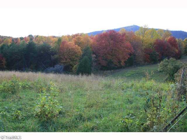 4520 Bull Mountain Road Stuart, VA 24171 - Photo 10 of 14 Land.