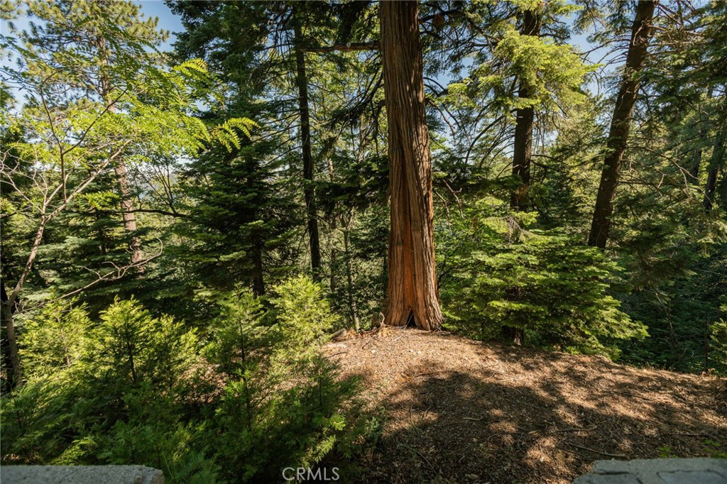 746 Blue Ridge Drive Skyforest, CA 92385 - Photo 17 of 18 Looking down the parcel from the top. Downslope lot.