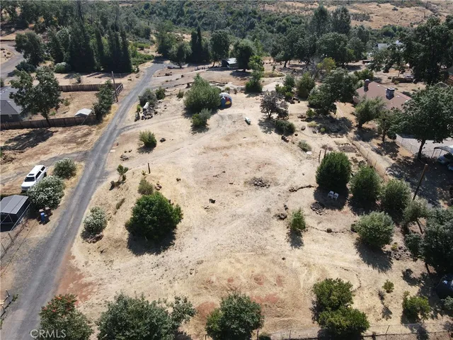 a view of a dry yard with lots of trees