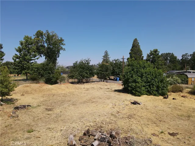 a view of a dry yard with trees and outdoor space