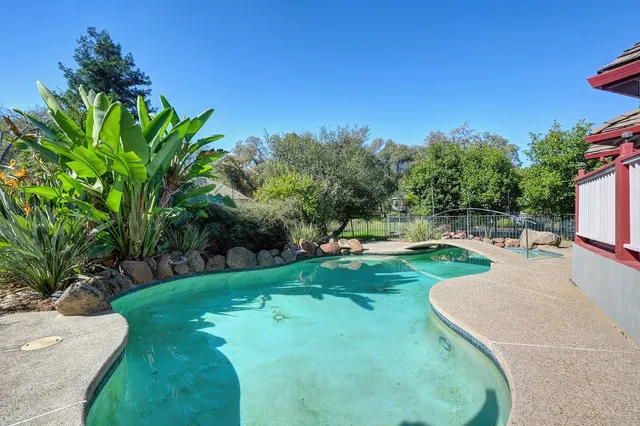 a view of a park with large trees