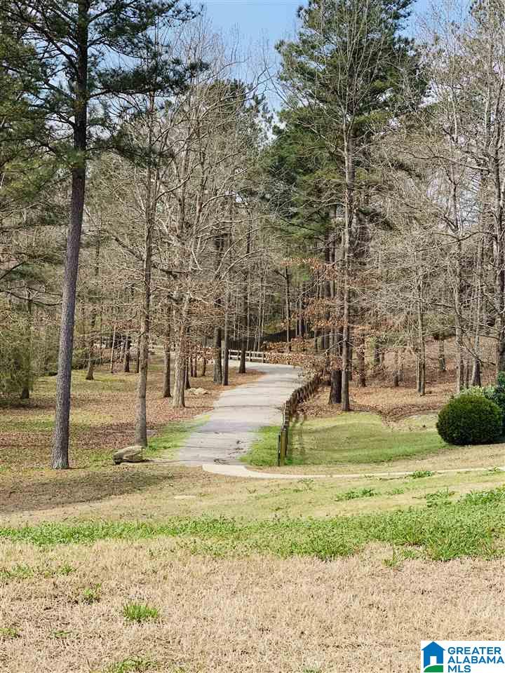 209 West Trestle Way Helena, AL 35080 - Photo 43 of 50
