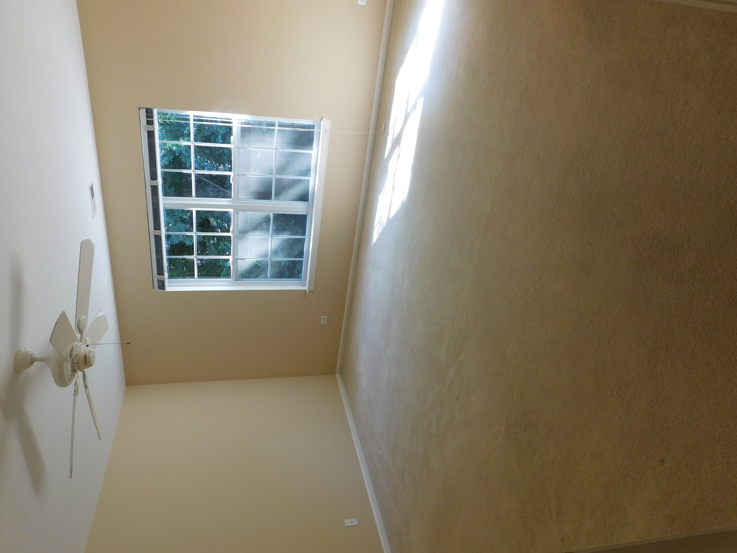 375 Emerald Lane Algonquin, IL 60102 - Photo 11 of 11