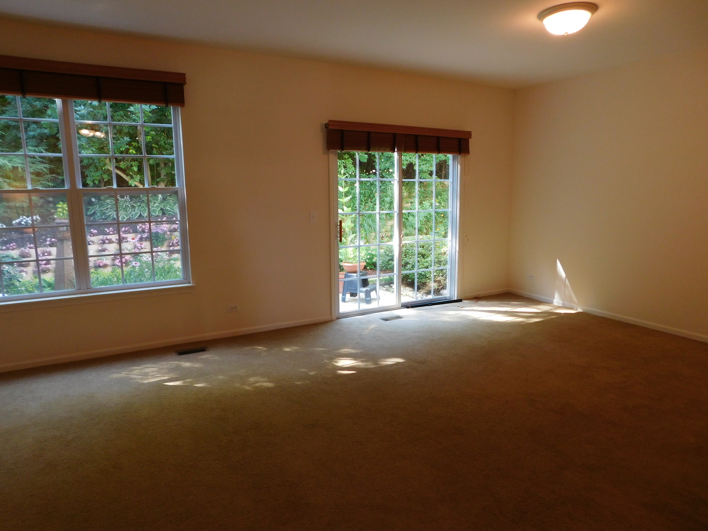 375 Emerald Lane Algonquin, IL 60102 - Photo 4 of 11