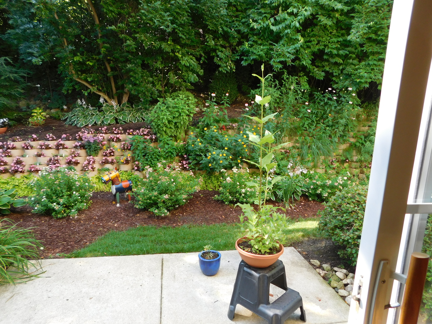 375 Emerald Lane Algonquin, IL 60102 - Photo 6 of 11