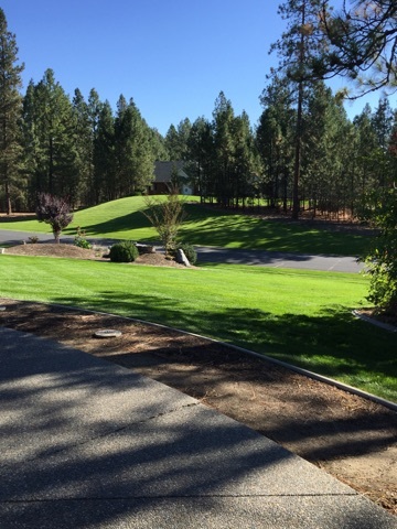15521 North Howe Road Mead, WA 99021 - Photo 8 of 20