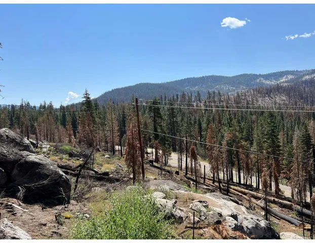 a view of a lake with a mountain