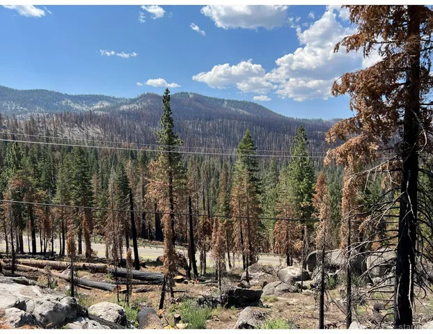a view of a large building with a mountain in the background