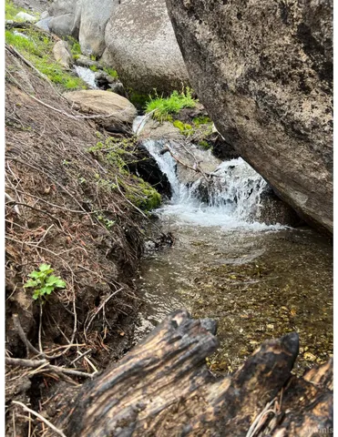 a view of a backyard with of trees