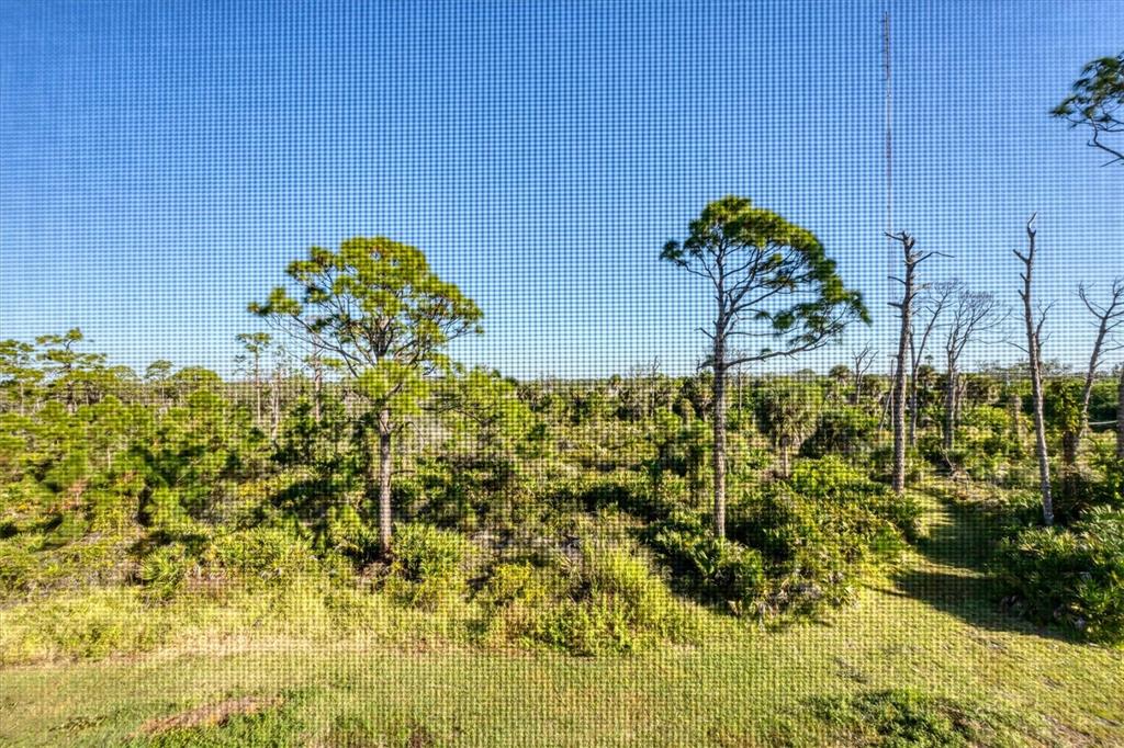 8407 Placida Road, Unit 307 Placida, FL 33946 - Photo 30 of 50 a view of a garden