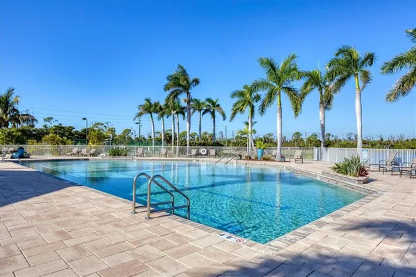 a view of a swimming pool with a garden and plants