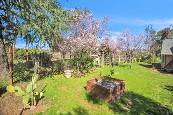 a backyard of a house with lots of green space