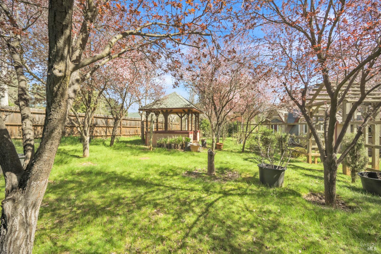 1996 River View Road Clearlake Oaks, CA 95423 - Photo 22 of 50 a backyard of a house with lots of green space