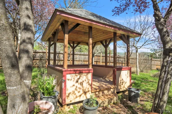 a view of a small garden