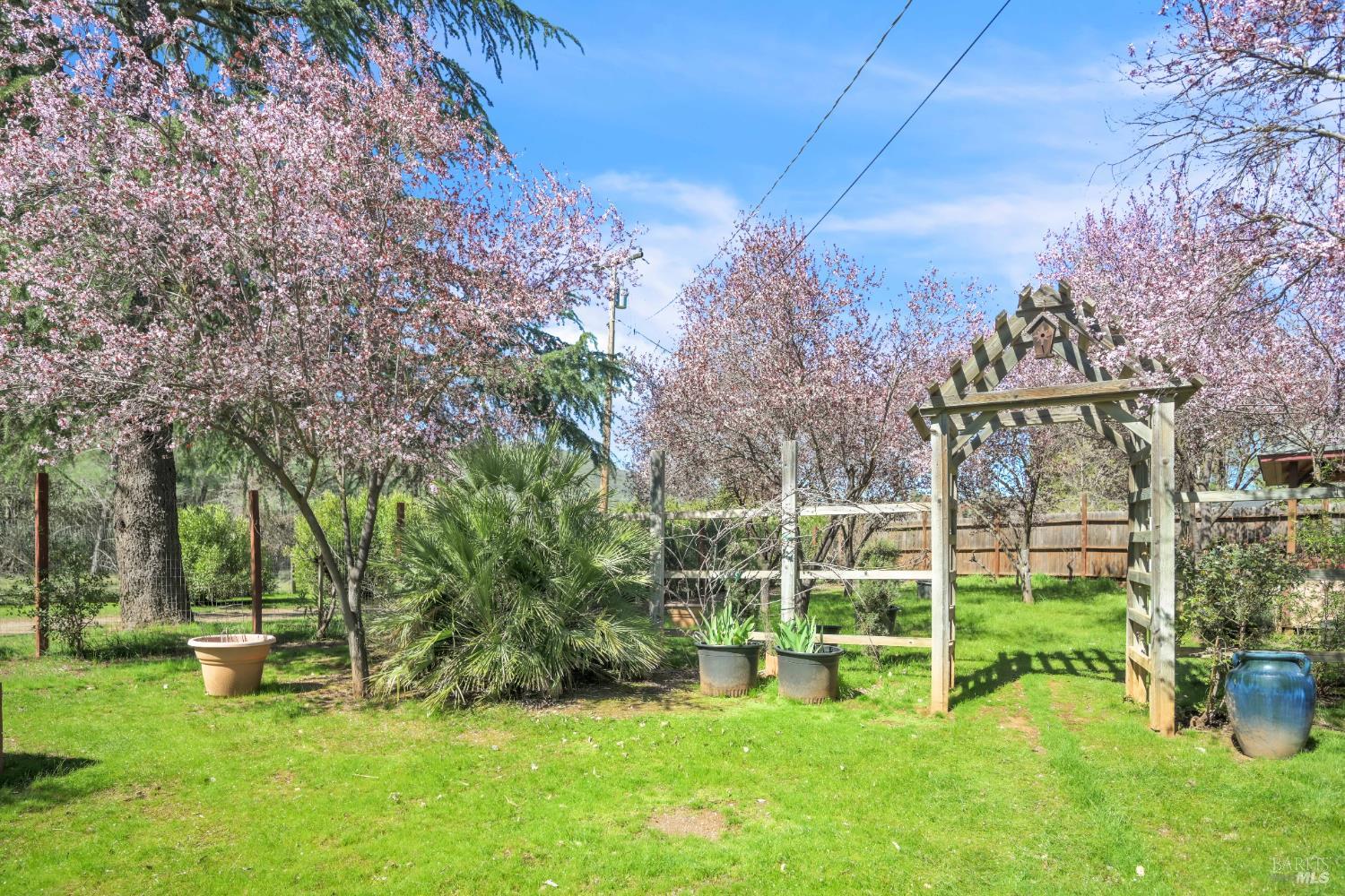 1996 River View Road Clearlake Oaks, CA 95423 - Photo 26 of 50 a view of a garden with a bench