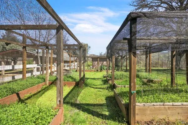 a living room with a large window and a potted plant