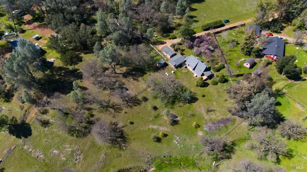 a view of a forest with mountains in the background