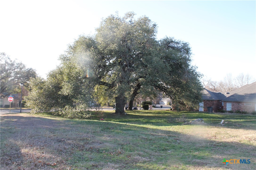 3702 Fall Creek Lane Temple, TX 76504 - Photo 2 of 13 a view of grassy field with trees