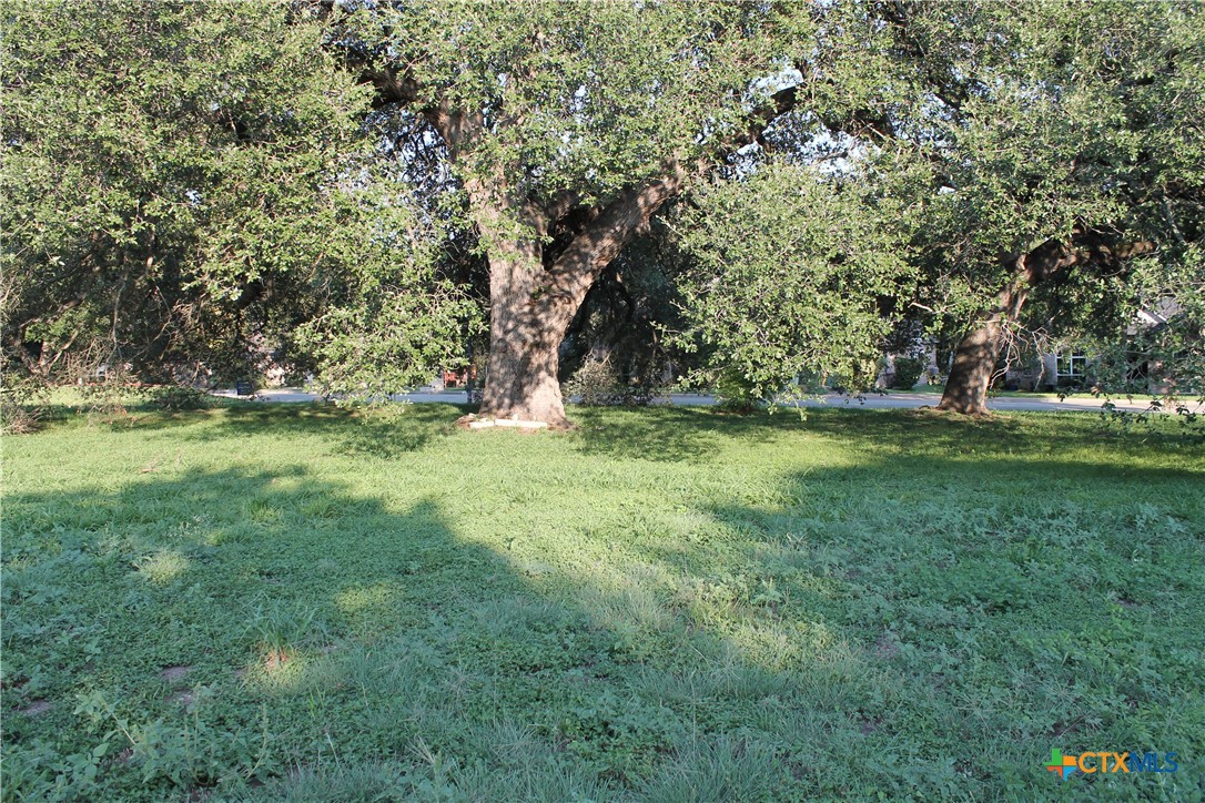 3702 Fall Creek Lane Temple, TX 76504 - Photo 4 of 13 a view of outdoor space with trees all around