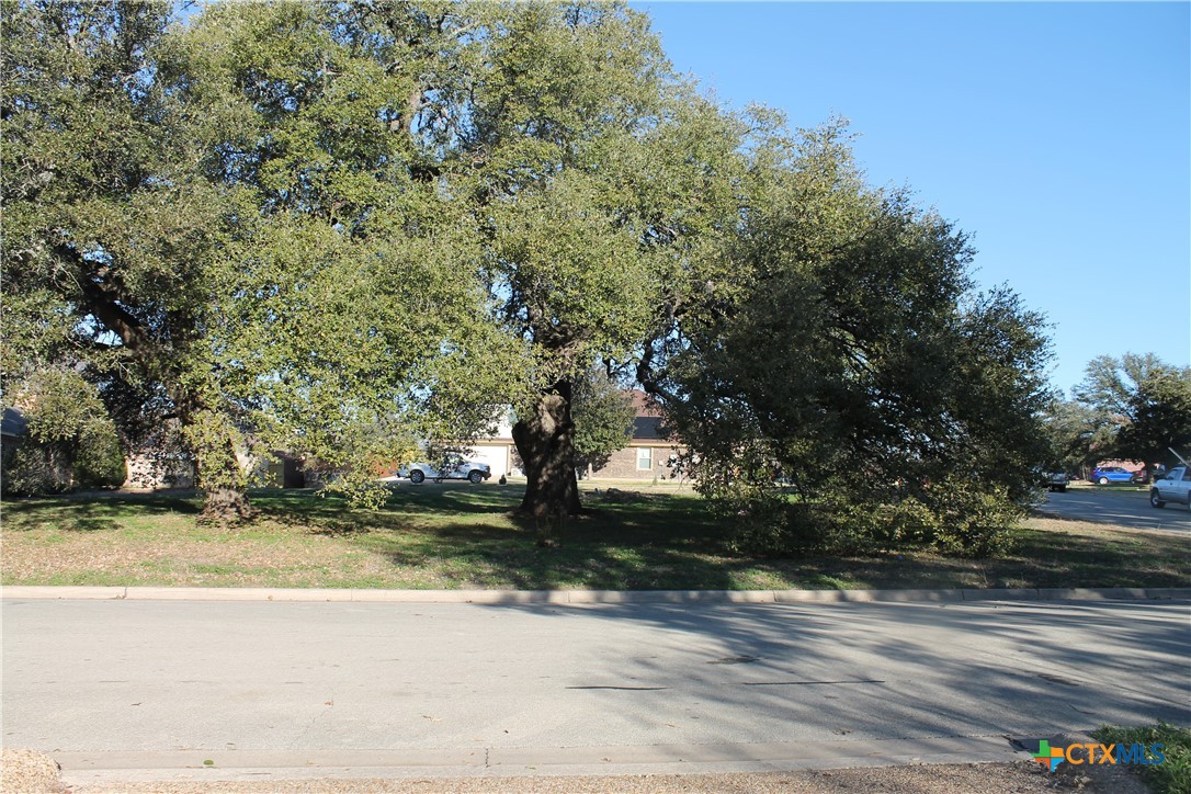 3702 Fall Creek Lane Temple, TX 76504 - Photo 5 of 13 a view of a yard with a trees