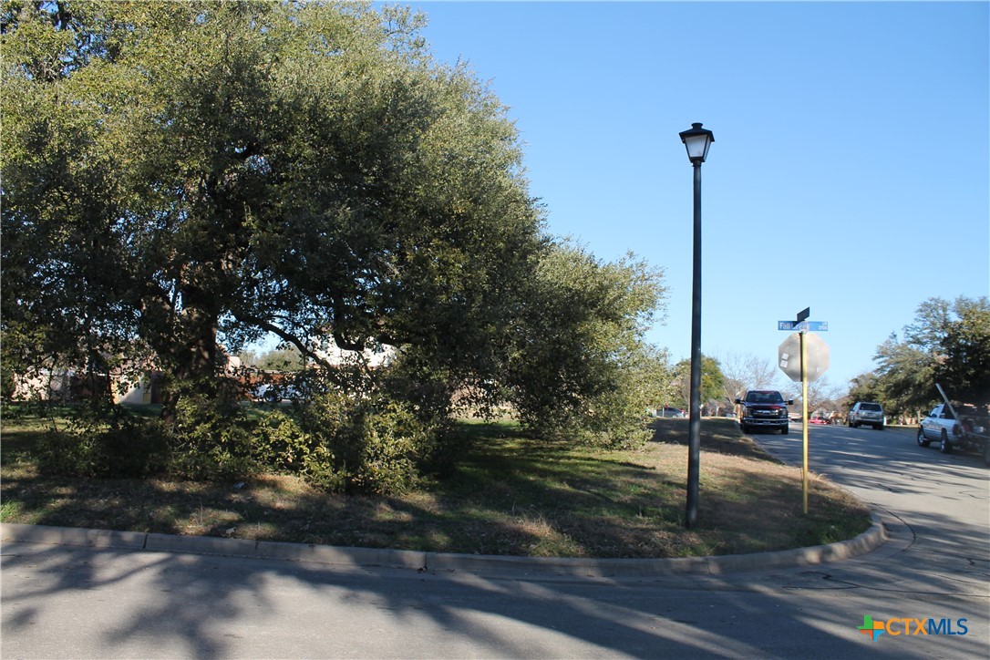 3702 Fall Creek Lane Temple, TX 76504 - Photo 6 of 13 a view of a street with a tree