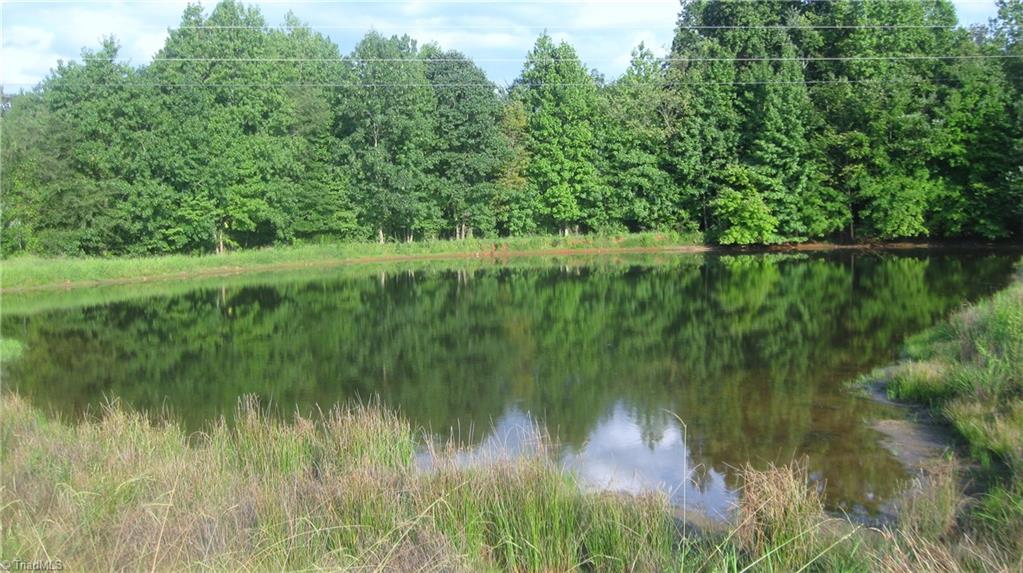 3935 A Timber Ridge Lake Road Liberty, NC 27298 - Photo 14 of 19 Gallery Image 14