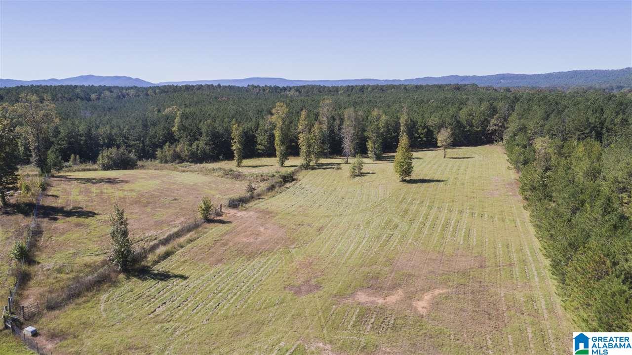 20505 Highway 55 Sterrett, AL 35147 - Photo 12 of 15