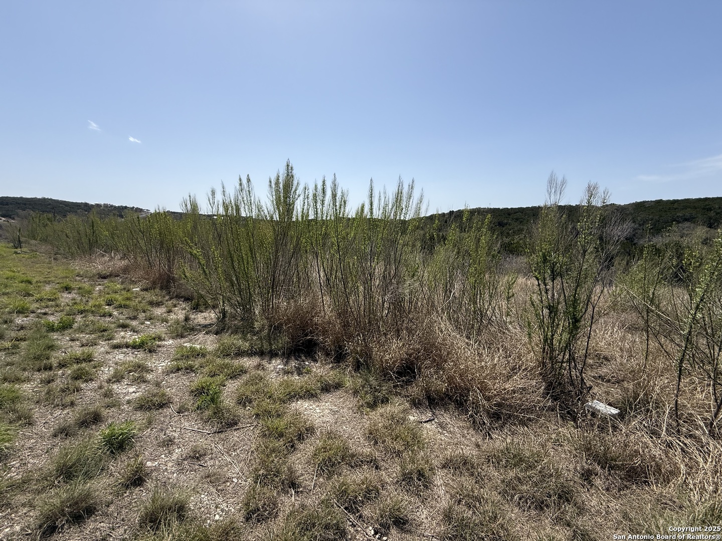 Pr 2775th Mico, TX 78056 - Photo 3 of 7