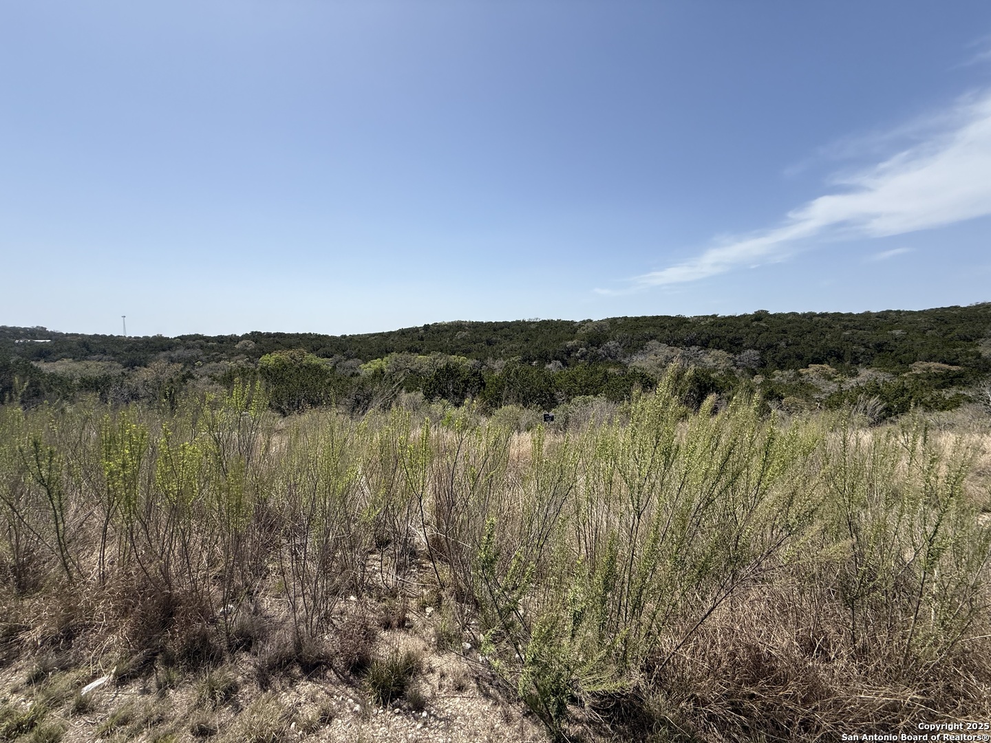 Pr 2775th Mico, TX 78056 - Photo 4 of 7