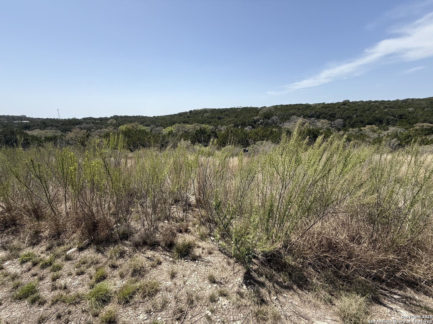 Pr 2775th Mico, TX 78056 - Photo 5 of 7