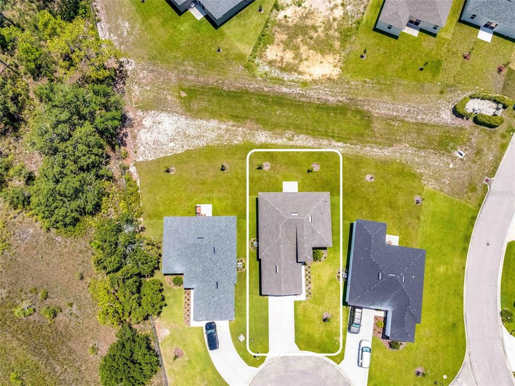 9313 Gentle Ben Court Weeki Wachee, FL 34613 - Photo 4 of 76