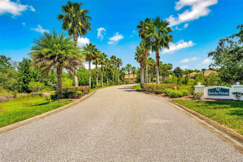 9313 Gentle Ben Court Weeki Wachee, FL 34613 - Photo 49 of 76