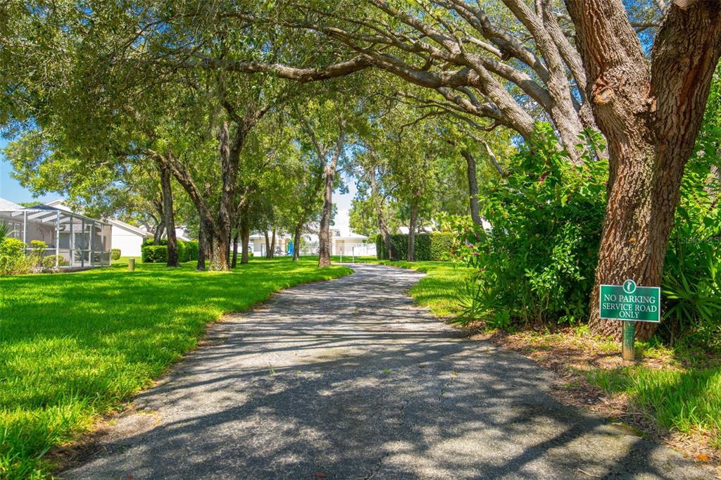 9313 Gentle Ben Court Weeki Wachee, FL 34613 - Photo 54 of 76