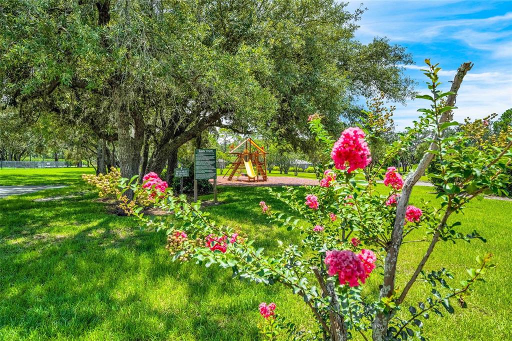 9313 Gentle Ben Court Weeki Wachee, FL 34613 - Photo 68 of 76