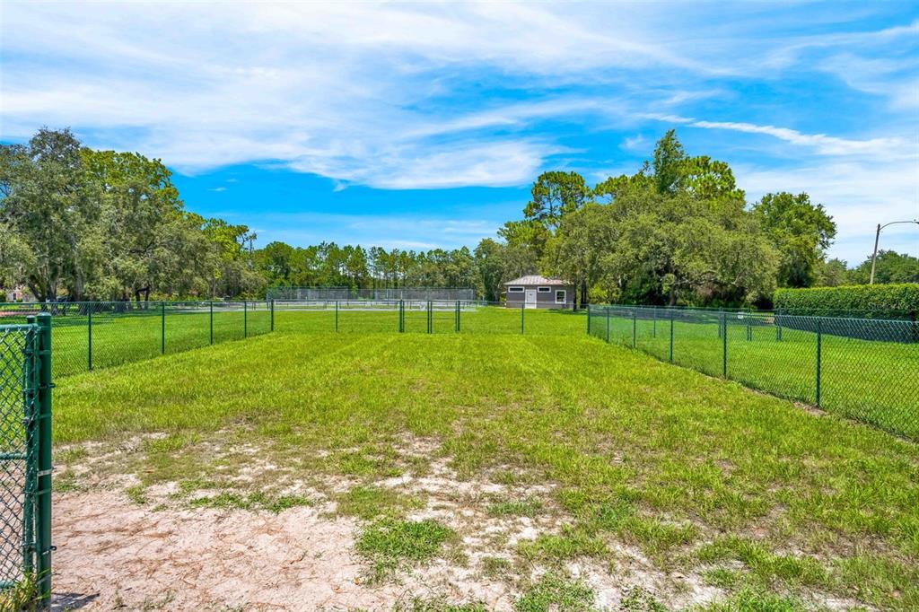 9313 Gentle Ben Court Weeki Wachee, FL 34613 - Photo 71 of 76