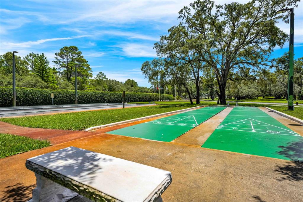 9313 Gentle Ben Court Weeki Wachee, FL 34613 - Photo 72 of 76