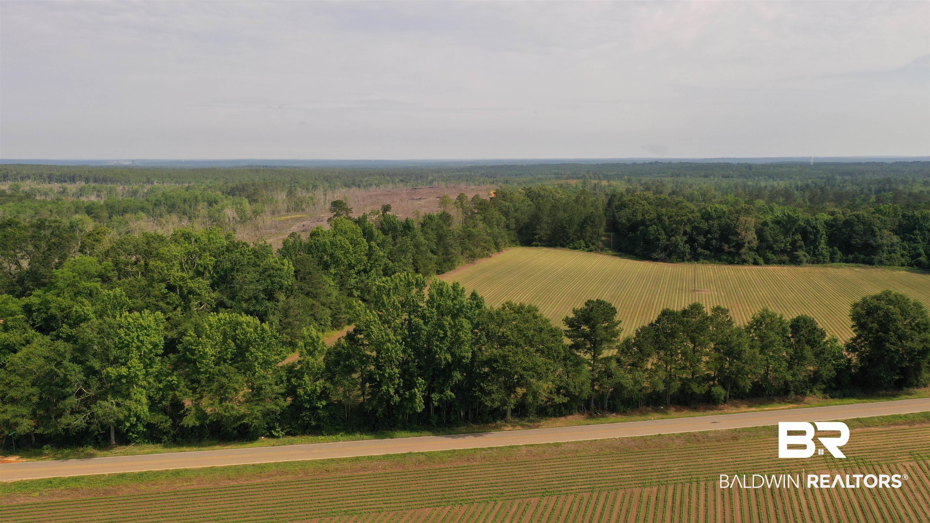 6 Travis Road Brewton, AL 36426 - Photo 6 of 22