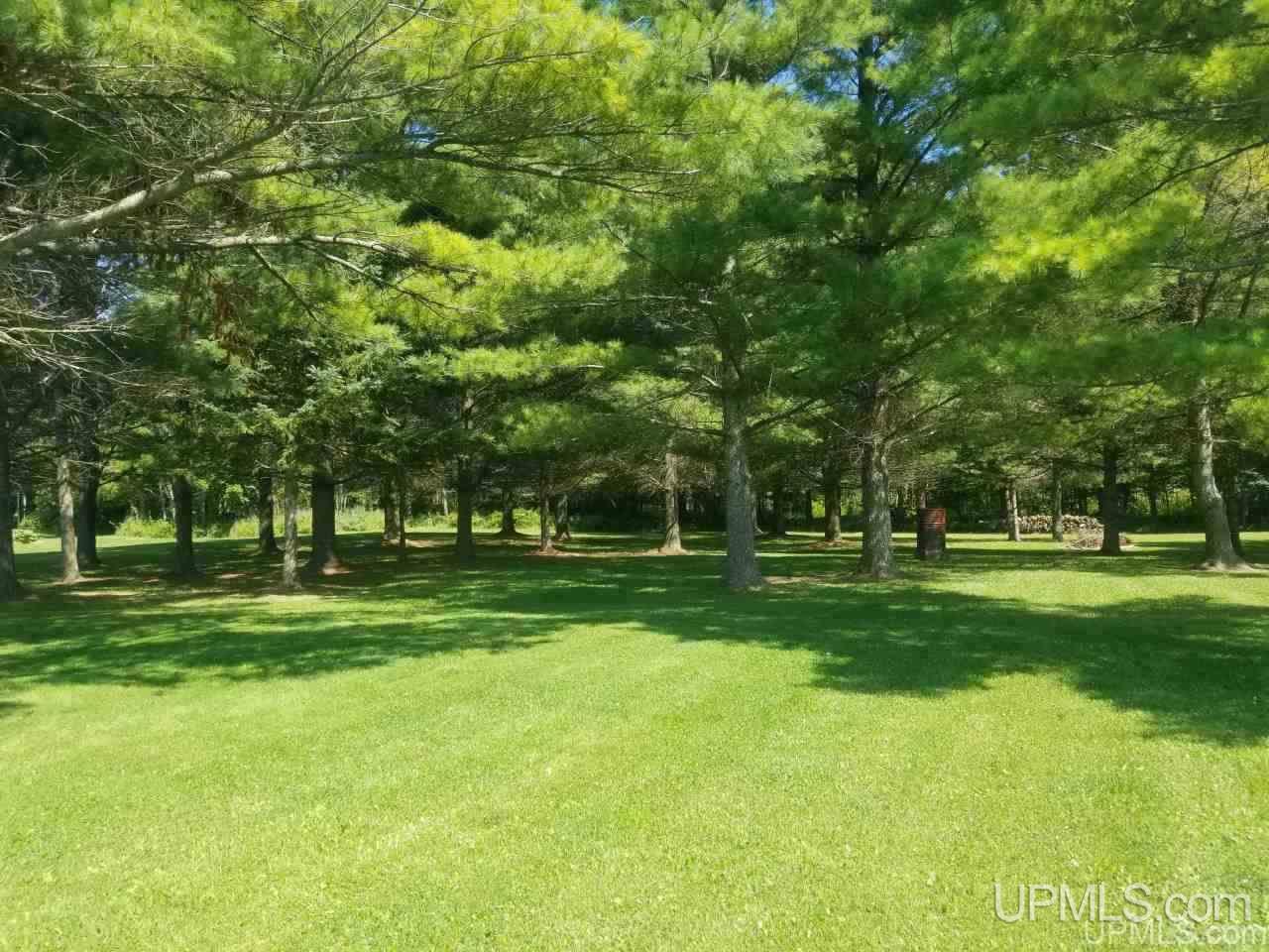 1164 North Co Rd 432 Gulliver, MI 49840 - Photo 4 of 23