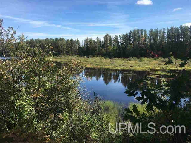 One Rd Ishpeming Mi 49849 Road Ishpeming, MI 49849 - Photo 4 of 22
