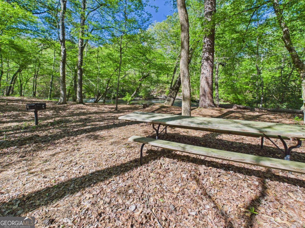 1120 Laurel Pointe Watkinsville, GA 30677 - Photo 48 of 50 a view of a backyard with trees