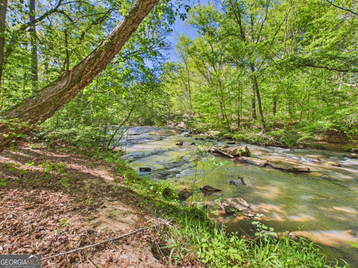 1120 Laurel Pointe Watkinsville, GA 30677 - Photo 50 of 50 a view of lake