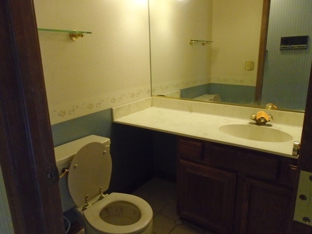 706 Hunters Way Fox River Grove, IL 60021 - Photo 12 of 17 a bathroom with a sink a toilet and shower