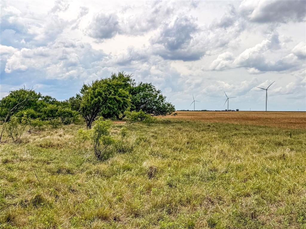 235 227 Haskell Tx 79521 Haskell, TX 79521 - Photo 4 of 40 a view of an ocean
