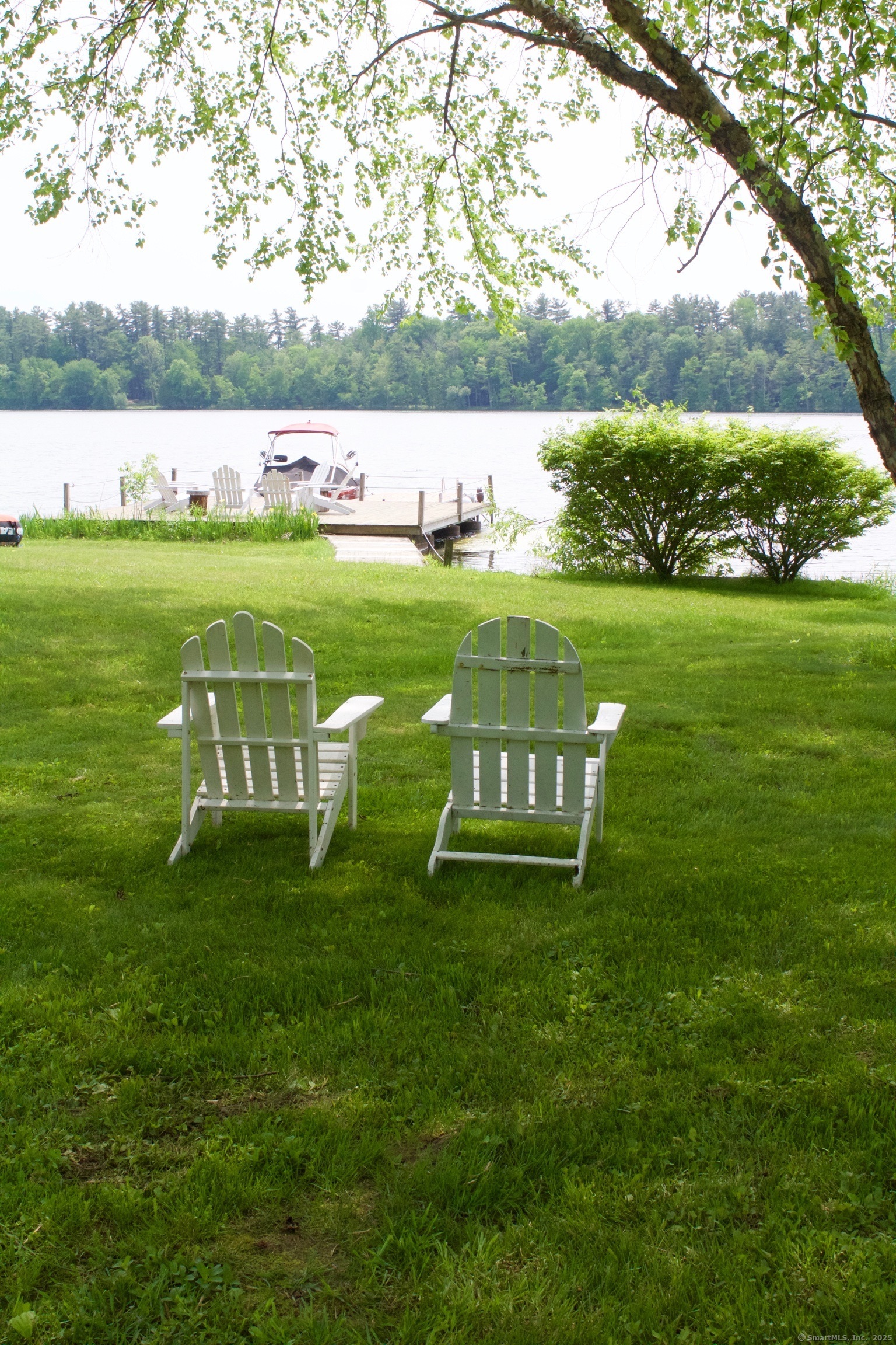 308 Twin Lakes Road Salisbury, CT 06068 - Photo 19 of 20 a view of garden with trees