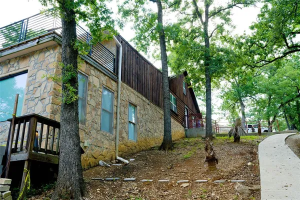 a view of backyard with large trees and plants