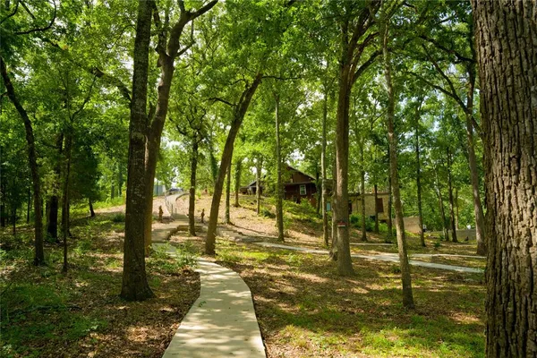a view of a yard