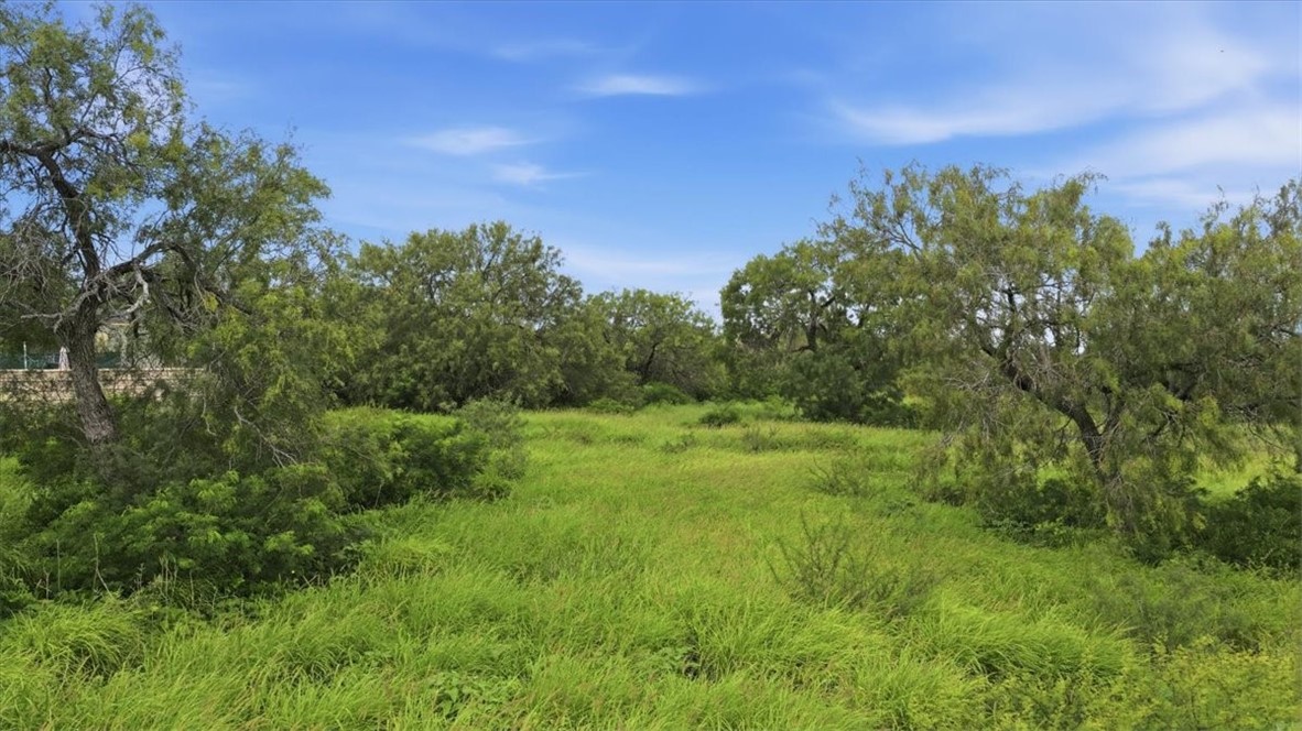 3187 Highway 72 Three Rivers, TX 78071 - Photo 4 of 13 a view of a field of grass and trees