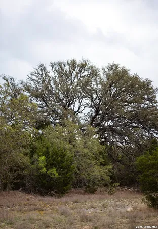 a view of a dry yard with wooden fence