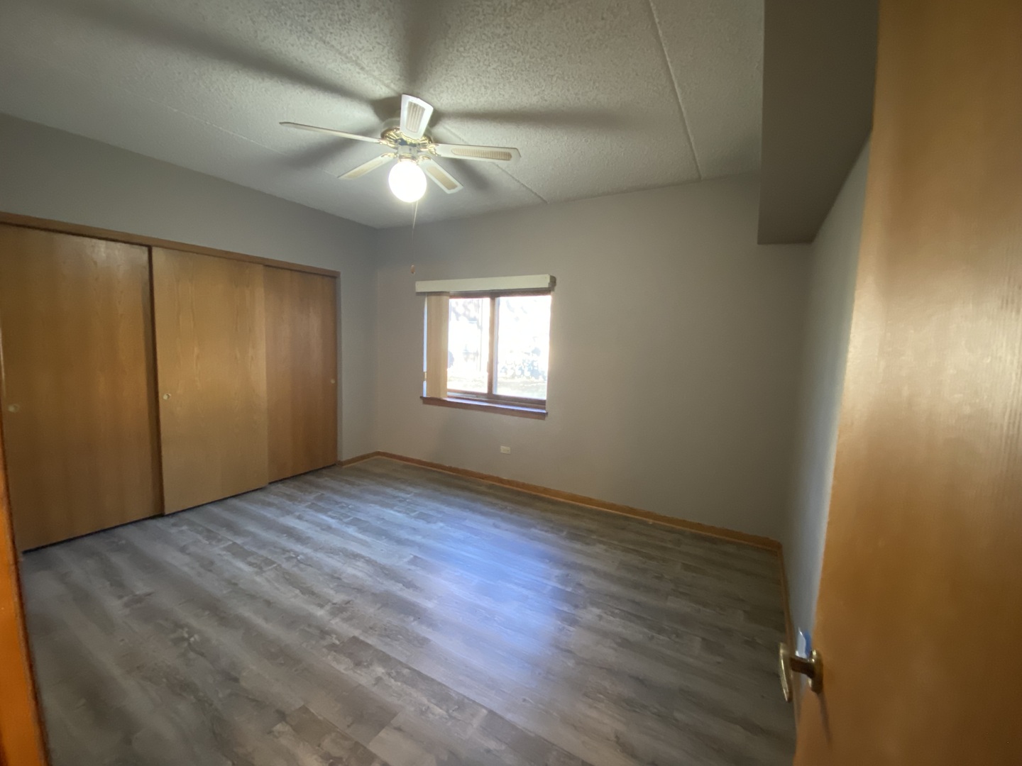 1105 East Division Street, Unit 1B Lockport, IL 60441 - Photo 16 of 22 an empty room with wooden floor and windows